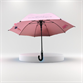 umbrella histardut5